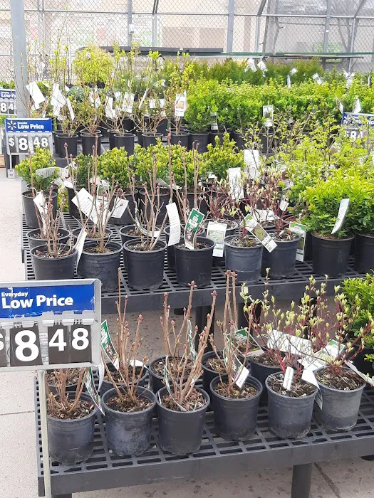 Walmart Supercenter 3
