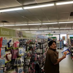 Dollar Tree ico