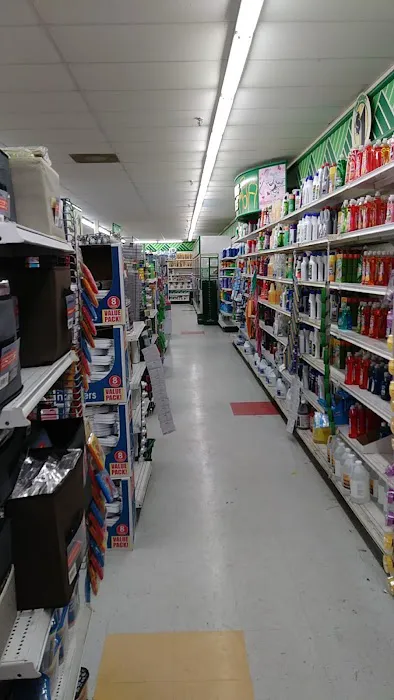 Dollar Tree 7