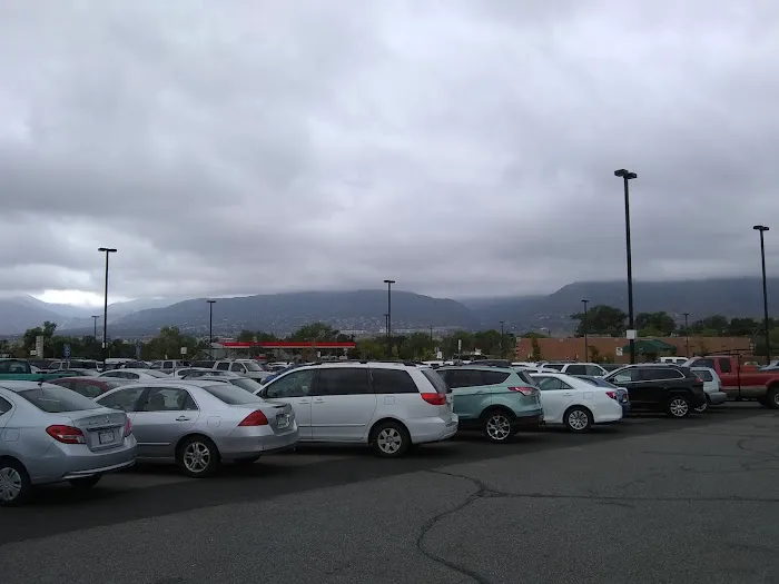 Dollar Tree 5