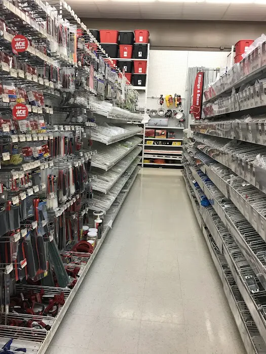 Ace Hardware Uintah Gardens 8