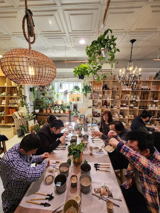 Modern Terrarium Bar 3