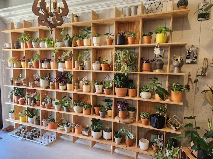 Modern Terrarium Bar 4