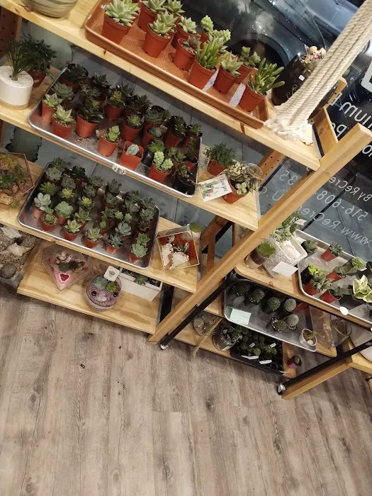 Modern Terrarium Bar 0