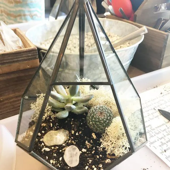 Modern Terrarium Bar 8