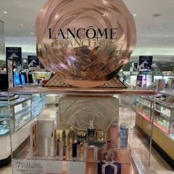 Dillard's ico
