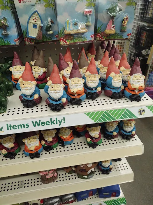 Dollar Tree 4