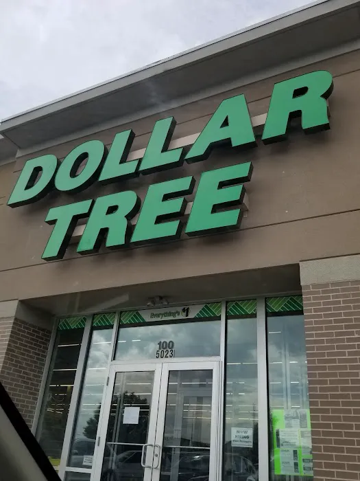 Dollar Tree 8