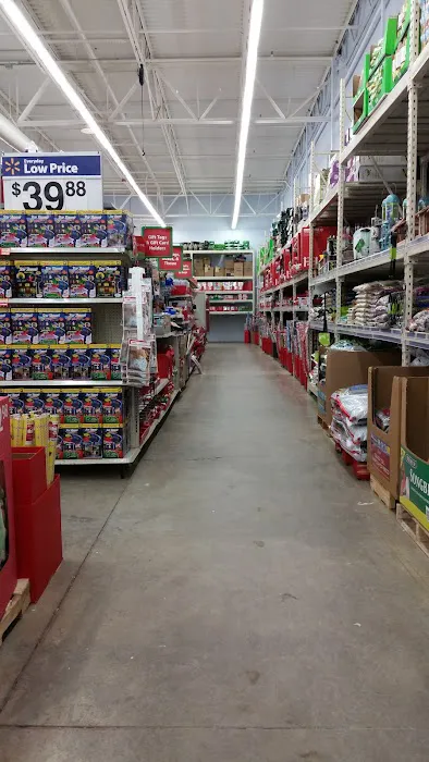 Walmart 7