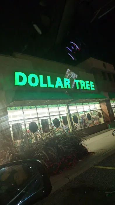 Dollar Tree 6