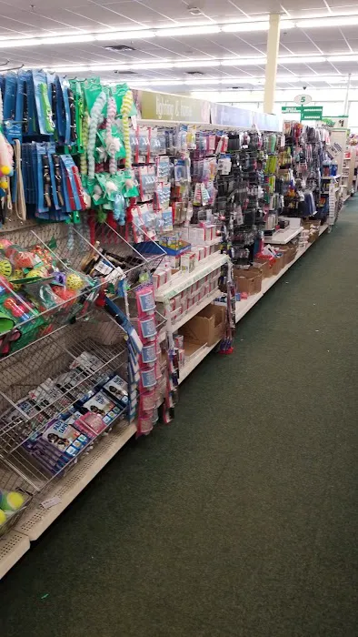 Dollar Tree 8