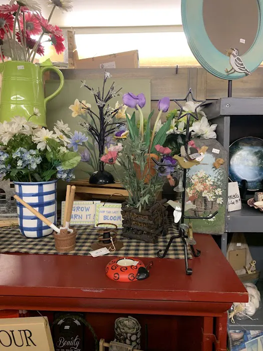 J & R Country Store 6