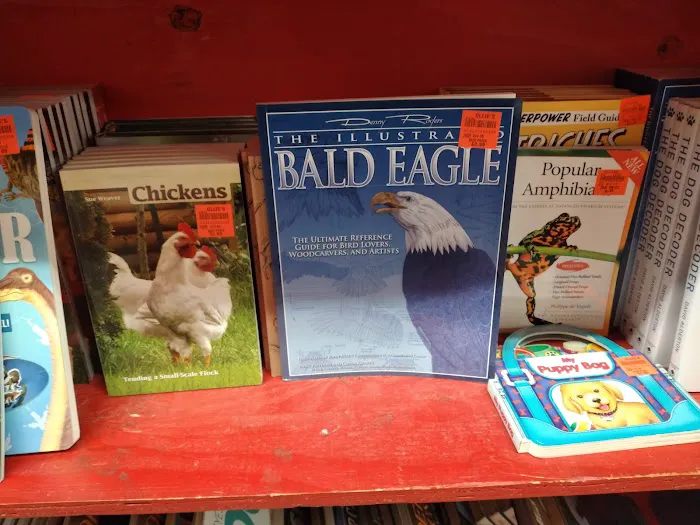 Ollie's Bargain Outlet 7