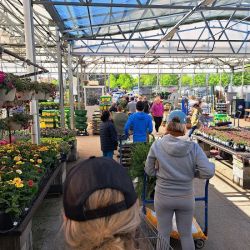 Lowe's Garden Center ico