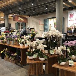 Wegmans ico