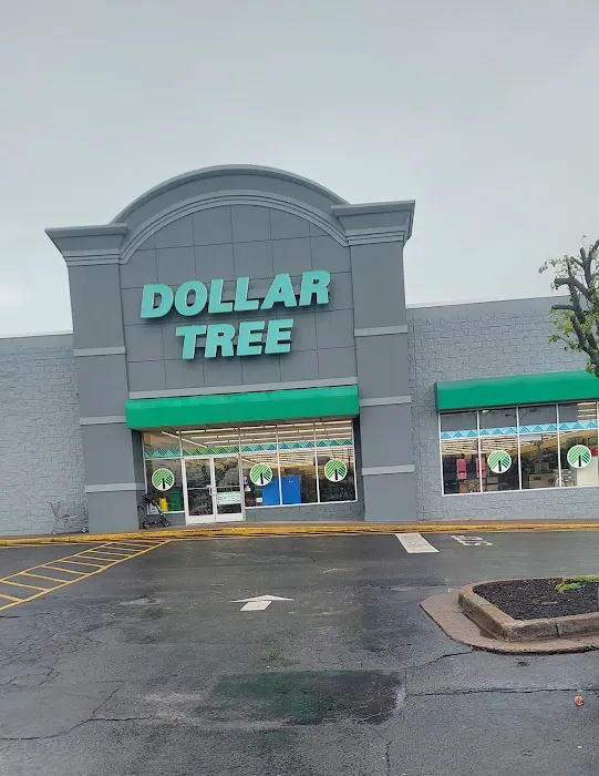 Dollar Tree 6
