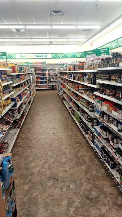 Dollar Tree 7