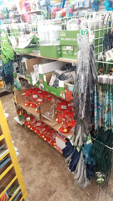 Dollar Tree 3