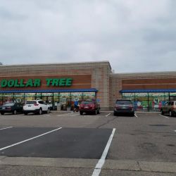 Dollar Tree ico