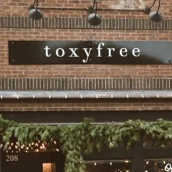 TOXYFREE ico