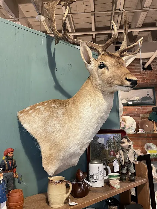 Staples Mill Antiques 2