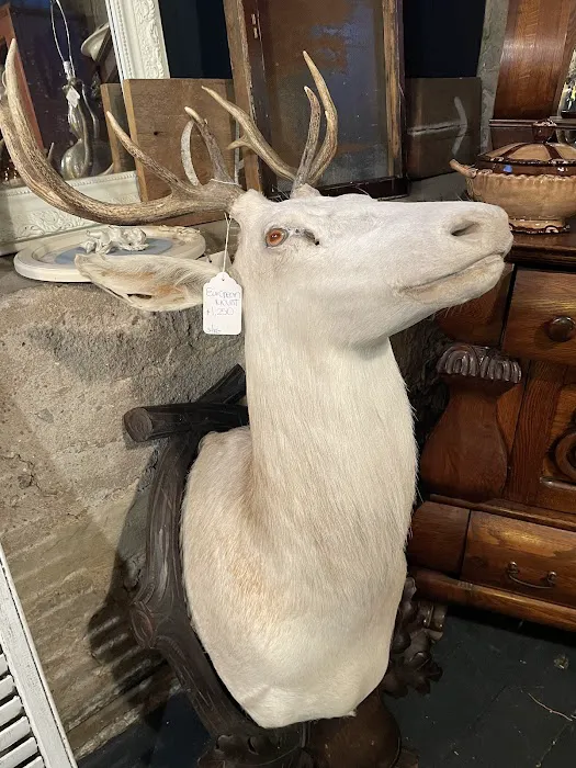 Staples Mill Antiques 4