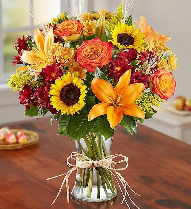 Flowerama of Springfield 9