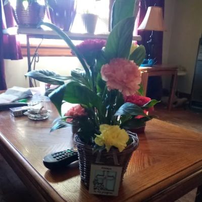 Flowerama of Springfield