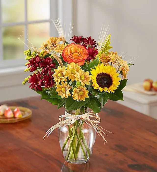 Flowerama of Springfield 8