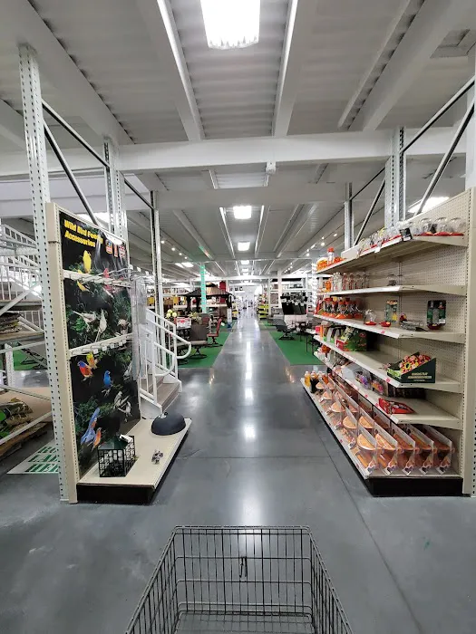 Menards 1