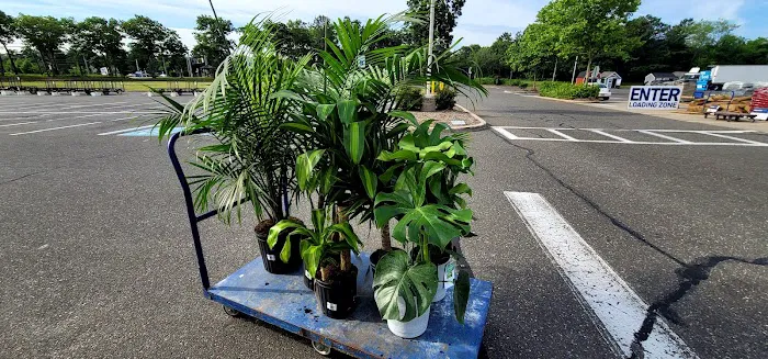 Lowe's Garden Center 7