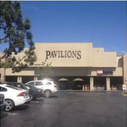 Pavilions ico