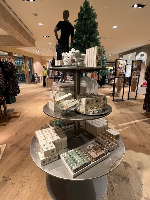Anthropologie 7