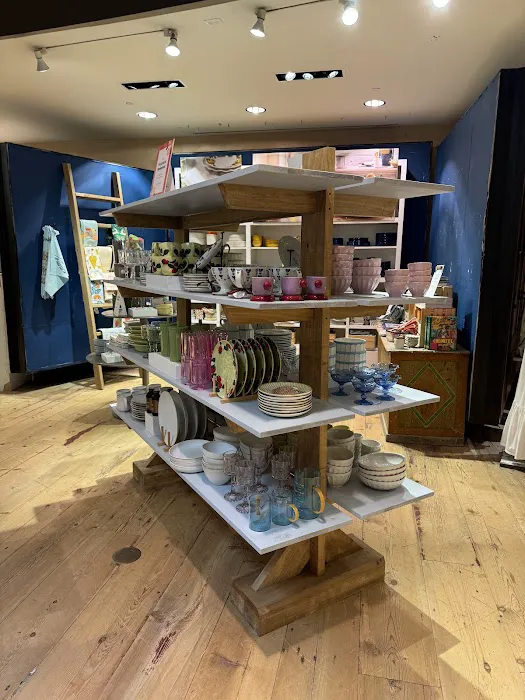 Anthropologie 8