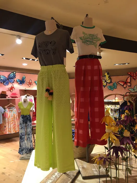 Anthropologie 4