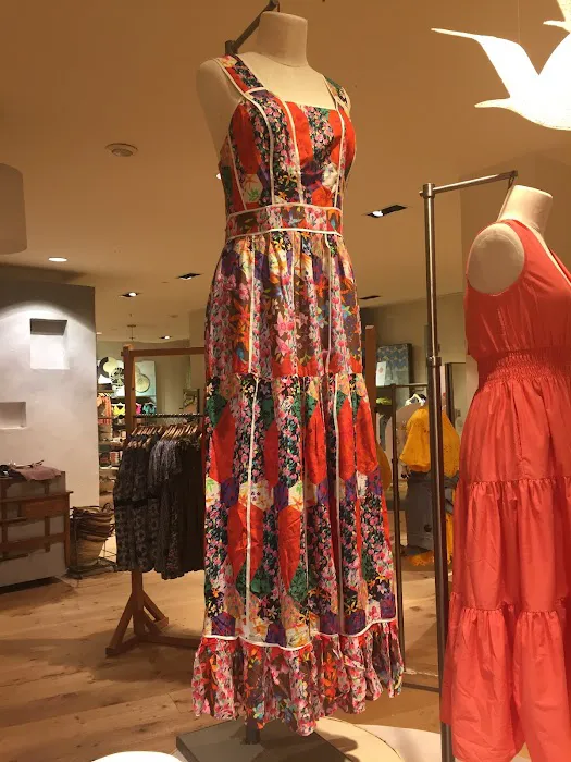 Anthropologie 3