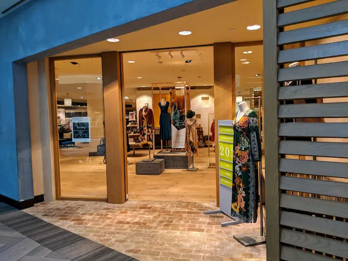 Anthropologie 9