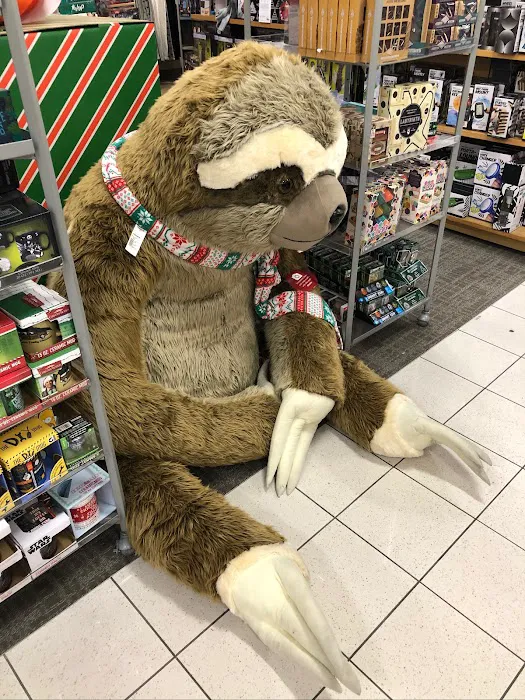 Kohl's 8
