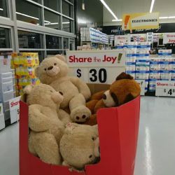 Big Lots ico