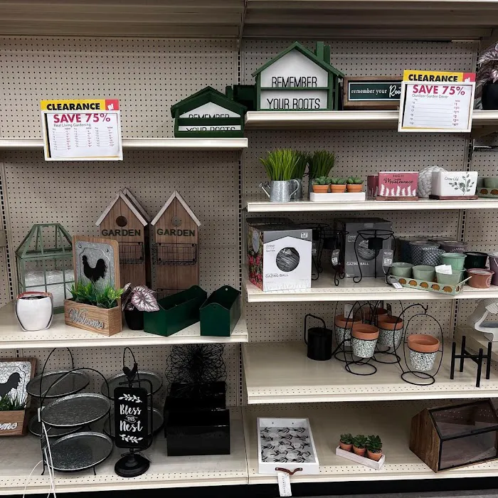 Big Lots 2