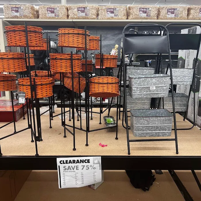 Big Lots 3