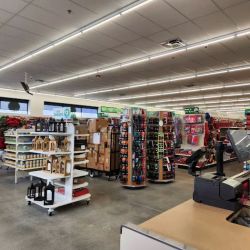 Dollar Tree ico