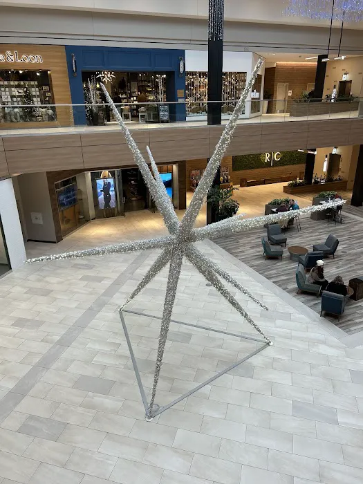 Von Maur 4