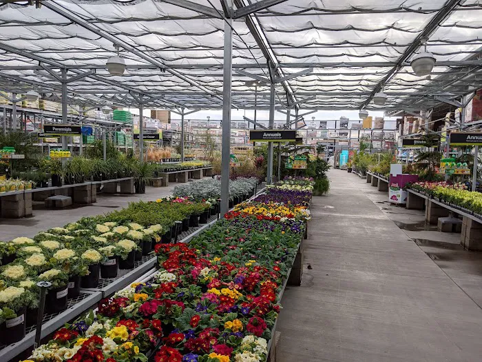 The Home Depot 5