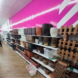 Daiso - Japanese Household Goods ico