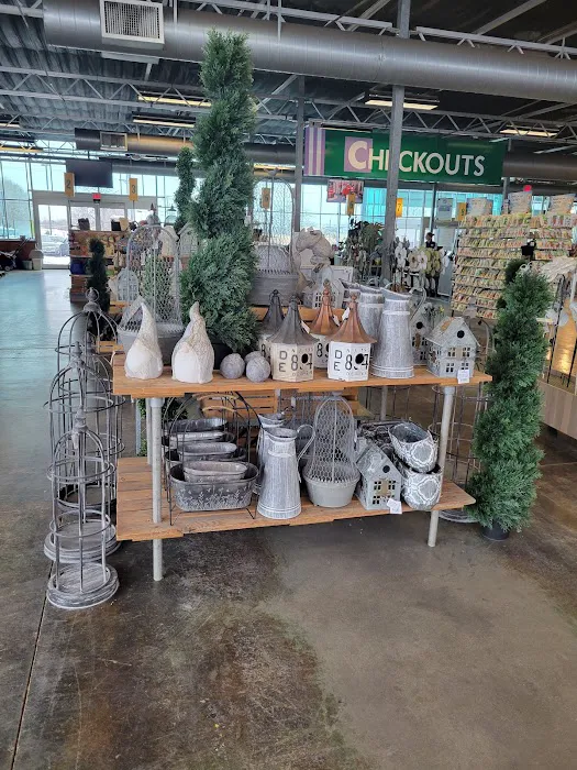 Bachman's Floral, Home & Garden 0