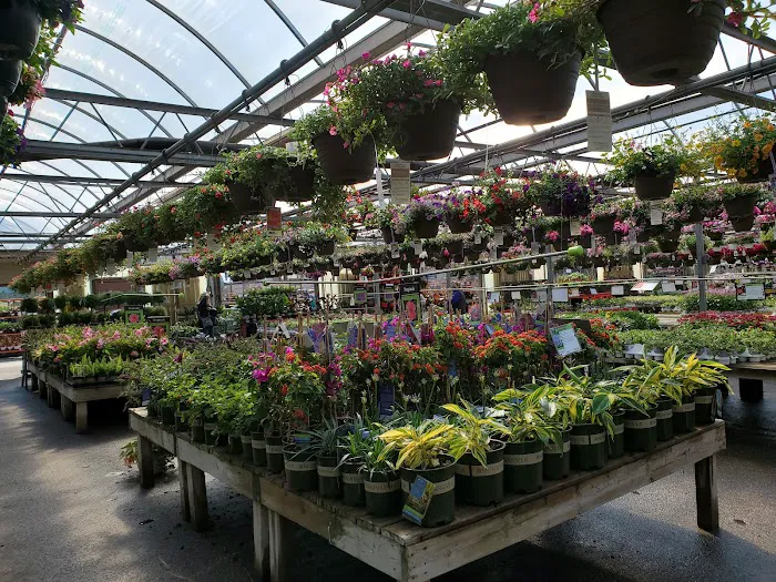 Bachman's Floral, Home & Garden 2