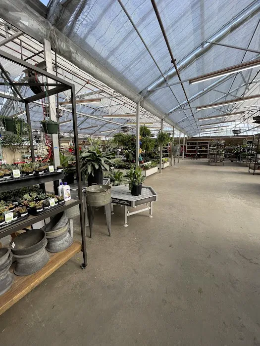 Bachman's Floral, Home & Garden 5