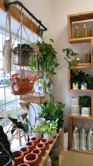 Shop Vintage Alley 3