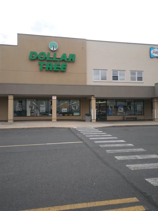 Dollar Tree 7